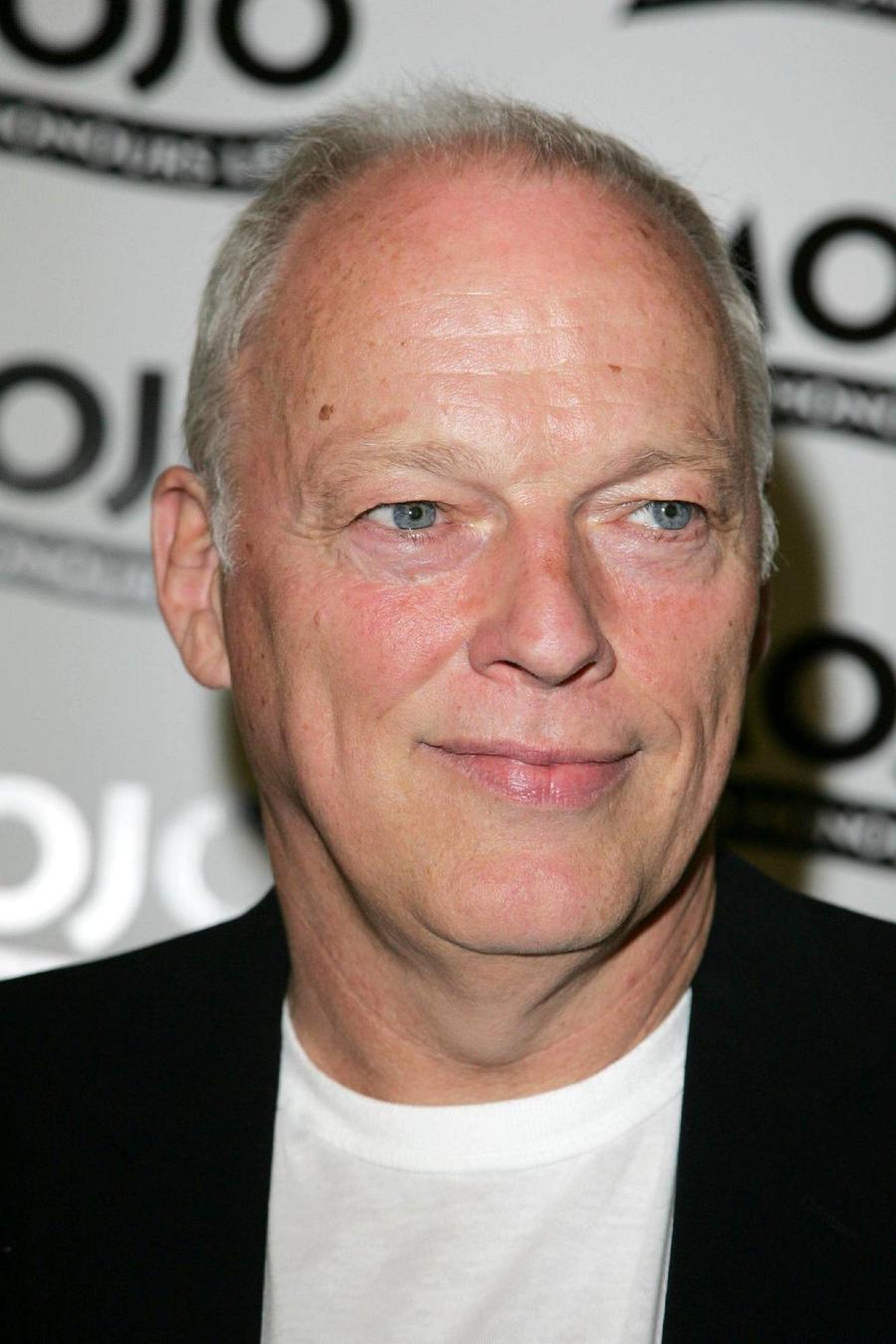 David Gilmour And New Order To Perform In Charity Concert Series