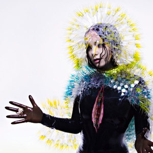 Bjork - Vulnicura Album Review