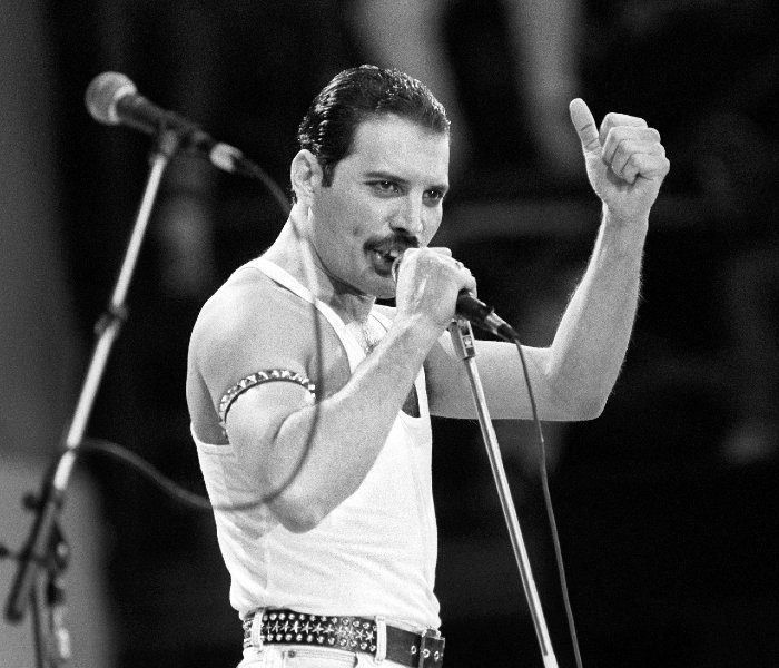 Freddie Mercury