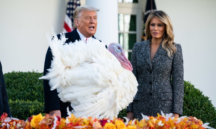 President Trump is joined by First Lady Melania Trump to pardon the National Thanksgiving Turkey 2020 / Photo Credit: Sipa USA/PA Images