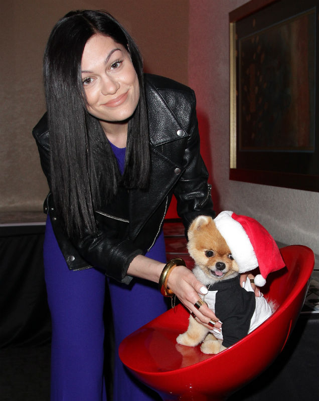 Jessie J and Jiff the Pomeranian at Y100's Jingle Ball 2014