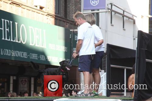 David Letterman and Dock Diving Dogs