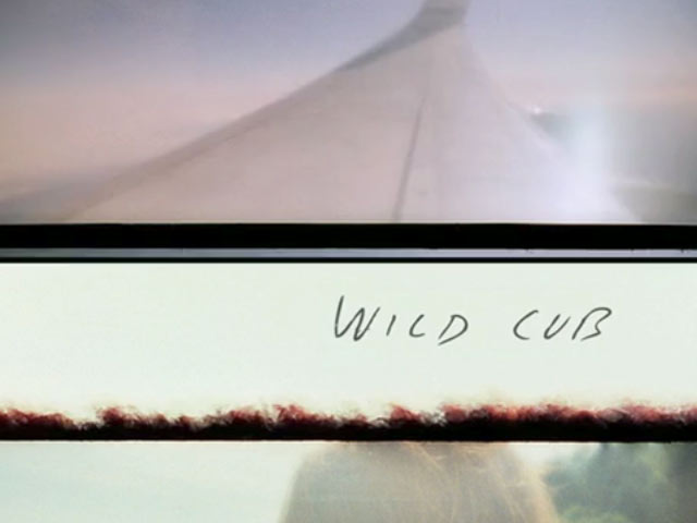 Wild Cub - Jonti Video