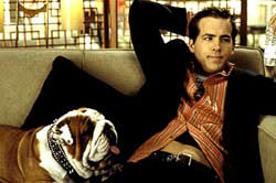 National Lampoon's Van Wilder