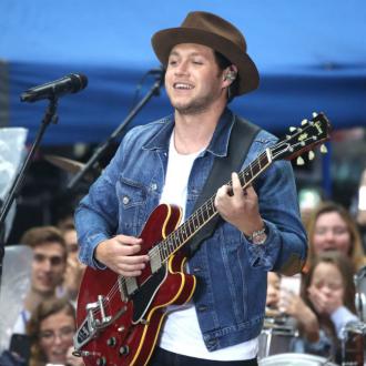 Niall Horan believes One Direction was like a 'circus'