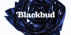 Blackbud - Blackbud