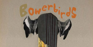 Bowerbirds - Hymns for a Dark Horse Album Review