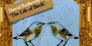 David Rotheray - The Life of Birds