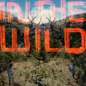FaltyDL In The Wild Album