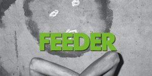 Feeder Borders Single