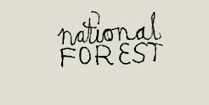 National Forest - A.M. Lights