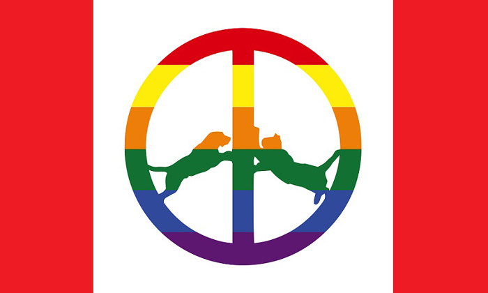 Hype Williams - Rainbow Edition Album Review