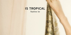 Is Tropical - Native To