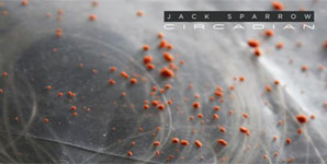 Jack Sparrow - Circadian Album Review
