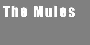 The Mules - Here To Help