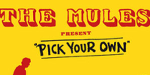 Various Artists - The Mules present, Pick Your Own Album Review