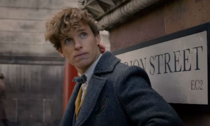 Newt Scamander (Eddie Redmayne)