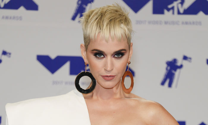 Katy Perry performed at this year's MTV VMAs