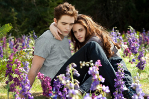 The Twilight Saga: Breaking Dawn Part 2