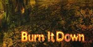 Avenged Sevenfold Burn it Down Single