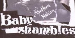 Babyshambles Shotter's Nation Album