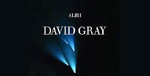 David Gray - Alibi