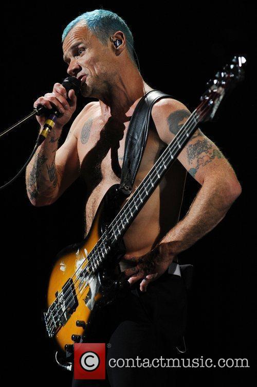 Flea 1