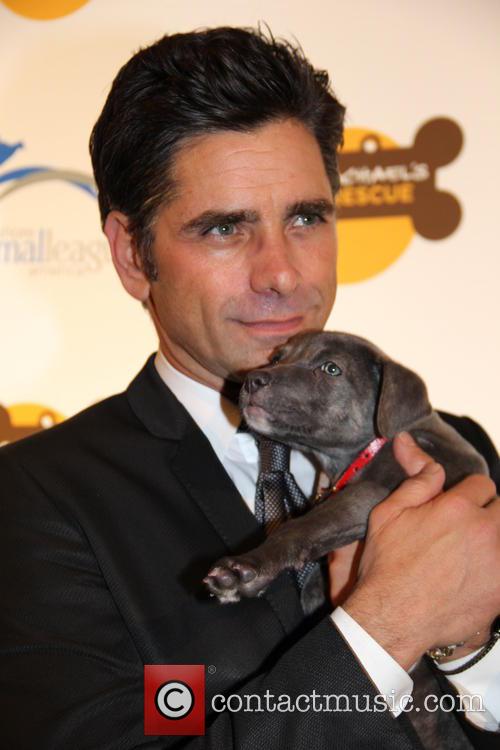 John Stamos 1