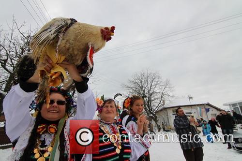 Rooster and Celebration