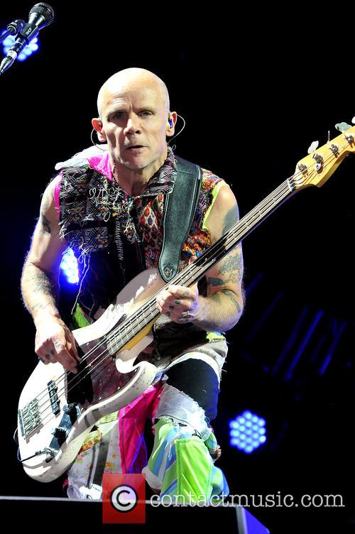 Flea