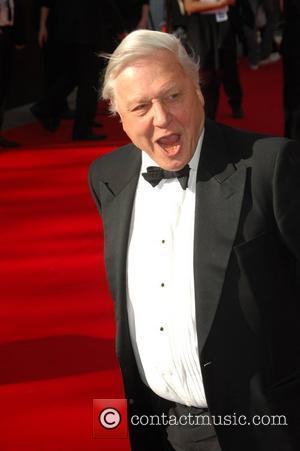 Sir David Attenborough,  British Academy Television Awards held at the Royal Festival Hall - Arrivals. London, England - 26.04.09...