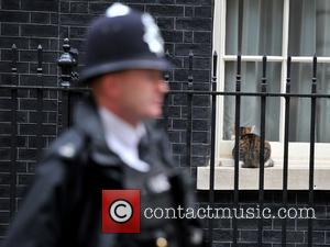 Larry the cat relaxes in the morning sun on the window sill of 10 Downing Street. London, England - 21.06.12