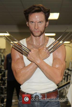 Hugh Jackman wax sculpture and Wolverine wax sculpture - Hugh Jackman's Wolverine wax figure works out sweating along with other...