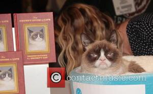 Lifetime Developing "Grumpy Cat's Worst Christmas Ever"