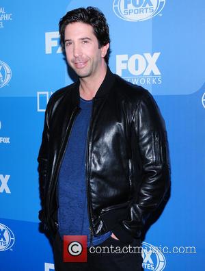 David Schwimmer