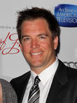 NCIS Star Michael Weatherly and Wife Bojana Expecting Second Child This Fall