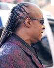 Stevie Wonder Musician Suing Blogger For Defamation