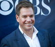 Michael Weatherly Pleads No Contest To Dui Charge