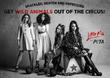 Little Mix Campaign For U.k. Circus Animal Ban